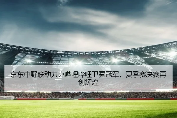 京东中野联动力克哔哩哔哩卫冕冠军，夏季赛决赛再创辉煌